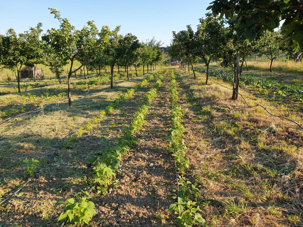Гостевой дом Fattoria Di Maiano Фьезоле Экстерьер фото
